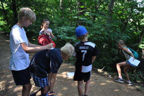 Příměšťák 2021, Maják, pokladovka